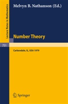 M B Nathanson, M. B. Nathanson, M.B. Nathanson - Number Theory, Carbondale 1979