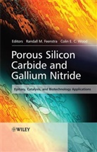 Randall Feenstra, Randall M Feenstra, Randall M. Feenstra, Randall M. (Carnegie Mellon University) Feenstra, Randall M. Wood Feenstra, Rm Feenstra... - Porous Silicon Carbide and Gallium Nitride