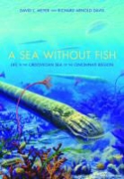 Richard Davis, Richard Arnold Davis, Richard Arnold Meyer Davis, Davis Richard Arnold, Steven Holland, David Meyer... - Sea Without Fish