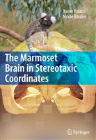 Nicole Bordier, Xavie Palazzi, Xavier Palazzi - The Marmoset Brain in Stereotaxic Coordinates
