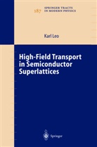 K. Leo, Karl Leo - High-Field Transport in Semiconductor Superlattices