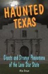 Alan Brown, Alan N Brown, Alan N. Brown, Heather Adel Wiggins - Haunted Texas
