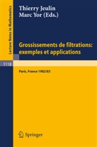 Thierry Jeulin, Marc Yor - Grossissements de filtrations: exemples et applications