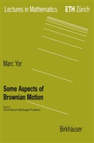 Marc Yor - Some Aspects of Brownian Motion