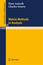 Piotr Antosik, Charles Swartz - Matrix Methods in Analysis