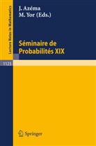 Jaques Azema, Marc Yor - Seminaire de Probabilites XIX 1983/84