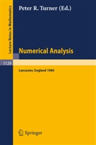 Peter R. Turner - Numerical Analysis, Lancaster 1984