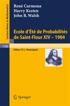 Rene Carmona, Harry Kesten, John B. Walsh, P. L. Hennequin, P.L. Hennequin - Ecole d'Ete de Probabilites de Saint Flour XIV, 1984
