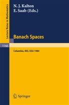 Nigel J. Kalton, Elias Saab - Banach Spaces