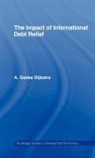 A. Geske Dijkstra, A. Geske (Erasmus University Dijkstra, A.geske Dijkstra, DIJKSTRA A GESKE, Dijkstra A. Geske - Impact of International Debt Relief
