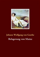 Johann Wolfgang von Goethe - Belagerung von Mainz