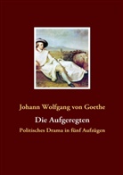 Johann Wolfgang von Goethe - Die Aufgeregten