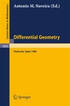 A. M. Naveira - Differential Geometry