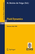 H Beirao da Veiga, H. Beirao da Veiga, Hugo Beirão da Veiga - Fluid Dynamics