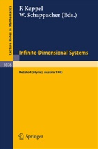 Kappel, F Kappel, F. Kappel, Franz Kappel, Schappacher, Schappacher... - Infinite-Dimensional Systems