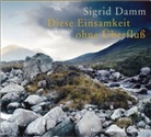 Sigrid Damm - Diese Einsamkeit ohne Überfluß, 2 Audio-CDs (Hörbuch)