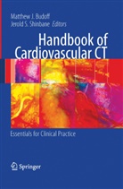 Matthew J Budoff, Matthew J. Budoff, Matthew M. J. Budoff, Matthe J Budoff, Matthew J Budoff, S Shinbane... - Handbook of Cardiovascular CT