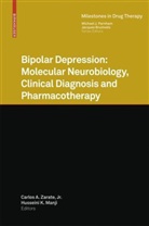 Carlo A Zarate Jr, K Manji, Husseini K. Manji, Carlos A. Zarate - Bipolar Depression