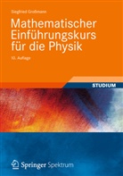 Siegfried Großmann - Mathematischer Einführungskurs für die Physik