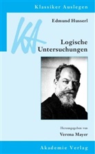 Veren Mayer, Verena Mayer - Edmund Husserl: Logische Untersuchungen