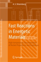 A. S. Shteinberg, Alexander S Shteinberg, Alexander S. Shteinberg - Fast Reactions in Energetic Materials