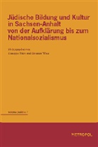 Giuseppe Veltri, Christian Wiese - Jüdische Bildung und Kultur in Sachsen-Anhalt von der Aufklärung bis zum Nationalsozialismus
