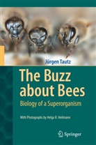Jürgen Tautz, Helga R. Heilmann - The Buzz about Bees