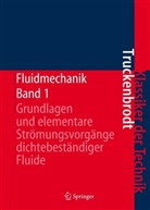 Erich Truckenbrodt, Erich A Truckenbrodt, Erich A. Truckenbrodt - Fluidmechanik - 1: Grundlagen und elementare Strömungsvorgänge dichtebeständiger Fluide