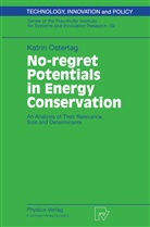 Katrin Ostertag - No-regret Potentials in Energy Conservation