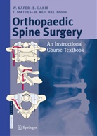 Cakir, B Cakir, B. Cakir, Balkan Cakir, W. Käfer, Wolfram Käfer... - Orthopaedic Spine Surgery