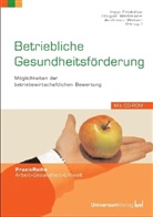 Ingo Froböse, Andreas Weber, Holger Wellmann - Betriebliche Gesundheitsförderung, m. CD-ROM