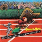 Gunzi Heil, Gunzi Heil - Märchenstunden in 100 Sekunden, 1 Audio-CD (Hörbuch)