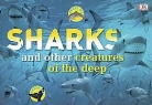 PUBLISHING DK, Penny (EDT) Smith, Ann Baggaley, Elinor Greenwood, Penny Smith - Sharks and Other Creatures of the Deep