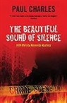 Paul Charles - Beautiful Sound of Silence
