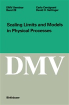 Carl Cercignani, Carlo Cercignani, David Sattinger, David H. Sattinger - Scaling Limits and Models in Physical Processes