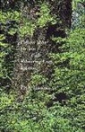 Peter Hannan - Follow Your Dream