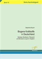 Stephanie Brysch - Biogene Kraftstoffe in Deutschland