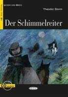 Theodor Storm, Fabio Visintin - Der Schimmelreiter, m. Audio-CD