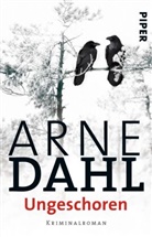 Arne Dahl - Ungeschoren