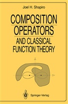 Joel H Shapiro, Joel H. Shapiro - Composition Operators