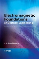 J. A. Brandã£o Faria, J. A. Brandao Faria, J. A. (Instituto Superior Tecnico) Brandao Faria, J.a Brandao Faria, J. A. Brandão Faria, J A Brandao Faria... - Electromagnetic Foundations of Electrical Engineering