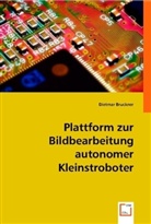 Dietmar Bruckner - Plattform zur Bildbearbeitung autonomer Kleinstroboter