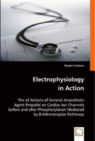 Ruslan Croitoru, Ruslan Croitoru - Electrophysiology in Action