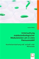 Susann Thiele - Untersuchung molekularbiologischer Modulationen am in vitro Pannusmodell