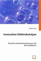 Iris Herrmann - Innovative Elektrokatalyse