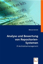 Michael Schmidt - Analyse und Bewertung von Repositorien-Systemen