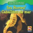Valerie J. Weber - Sea Horses/Caballitos De Mar