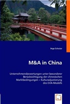 Ingo Schulze - M&A in China