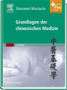 Giovanni Maciocia, Giovanni C. Maciocia - Die Grundlagen der chinesischen Medizin