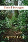Leighton Gage - Buried Strangers